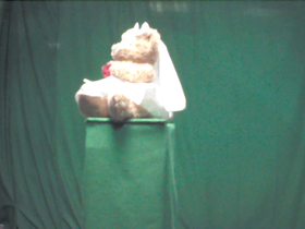 180 Degrees _ Picture 9 _ Wedding Dress Teddy Bear.png